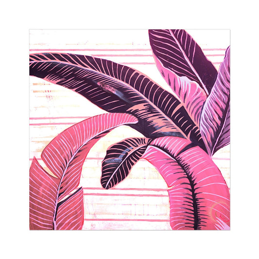 image8