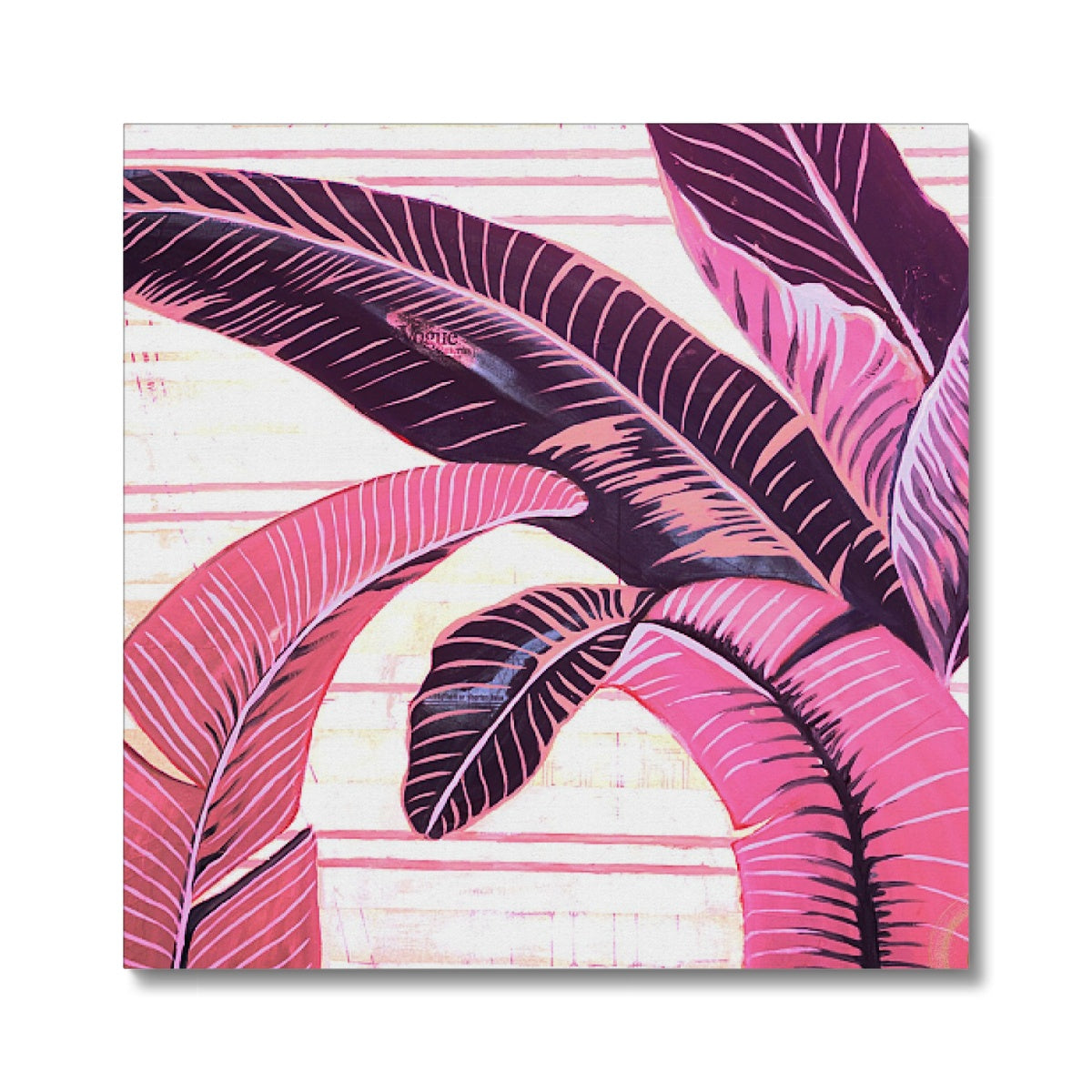 The BHH in Pink Coral Canvas Print