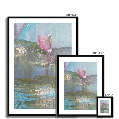Water Lilly Framed & Mounted Print